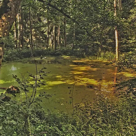 Apartment Taunusurlaub