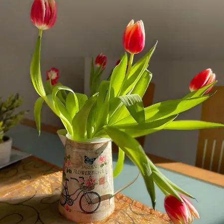 Taunusurlaub Apartment