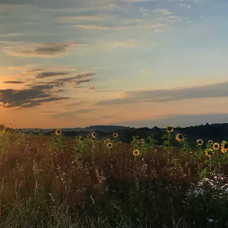 Apartment Taunusurlaub Hausen Uber Aar