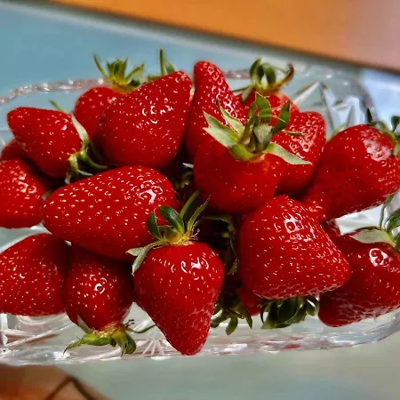 Apartment Taunusurlaub