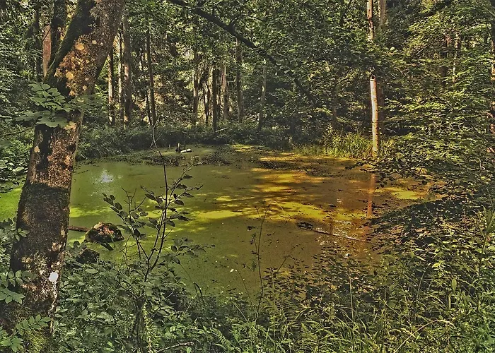 Апартаменты Taunusurlaub