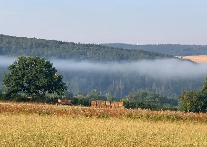 Апартаменты Taunusurlaub *