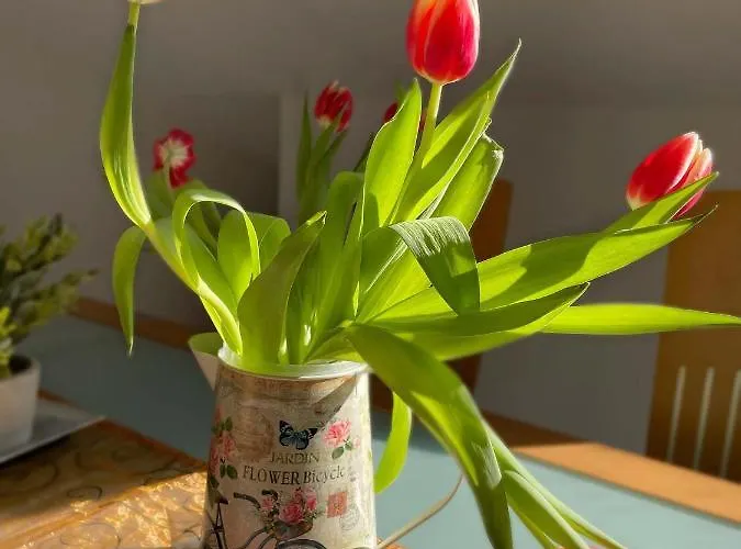 Taunusurlaub Апартаменты