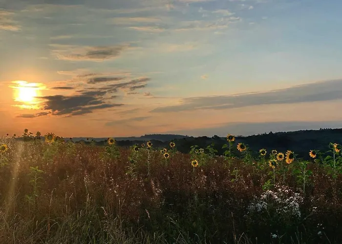 Апартаменты Taunusurlaub Hausen Uber Aar