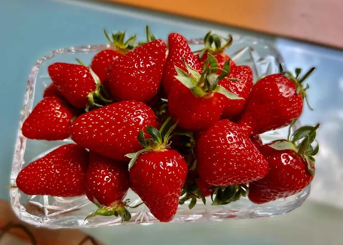 Апартаменты Taunusurlaub